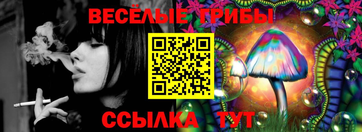 Псилоцибиновые грибы Magic Shrooms Топки